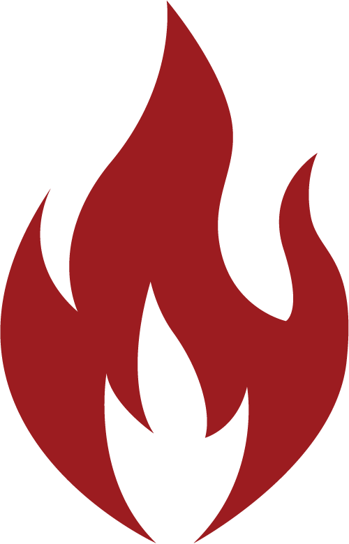 rising-phoenix-flame-icon